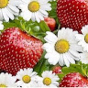 Meet your Posher, Sidney